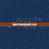 属鼠今年财运在哪个方向