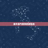 属牛霸气聚财的微信名，属牛取什么微信名最好