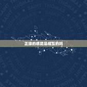 正缘的感觉是相互的吗，正缘的哪个他啊，是什么样的