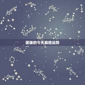 属猪的今天麻将运势，属猪人今日财运打麻将