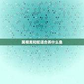 属相龙和蛇适合养什么鱼，属蛇的在家里适合在什么位置养什么鱼