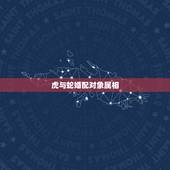虎与蛇婚配对象属相，生肖蛇和生肖虎的婚配如何