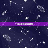 1994年怀孕清宫图，1994年九月七日在清宫图里虚岁多大