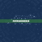 鸡的更佳属相婚配表，属鸡婚配什么属相更好