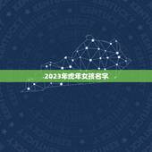2023年虎年女孩名字 2023年最佳女孩名字