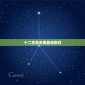 十二生肖夫妻最佳配对，十二生肖种羊和什么是最好的配偶呢！