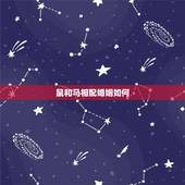 鼠和马相配婚姻如何，鼠马婚配如何破解？
