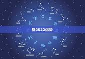 猪2022运势，2021猪的全年运势如何