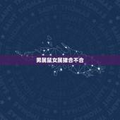 男属鼠女属猪合不合，96鼠95猪结婚好不好
