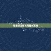 远亲孤旧朋友是什么属相，沉烟冷，生涯不复旧桑田。千庭砾平，愉园拾青荚，