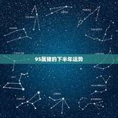 95属猪的下半年运势，95年生肖猪2021年运势