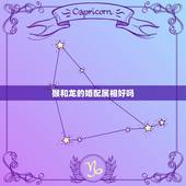 猴和龙的婚配属相好吗，1976年属龙和1992年属猴属相相配吗