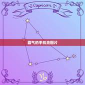 霸气的手机壳图片，谁有这个手机壳后面的图片，花钱也可以