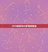1978年的马45岁后的财运，78年属马以后每年的财运如何？