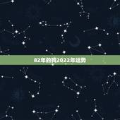 82年的狗2022年运势，82年属狗未来5年运势？