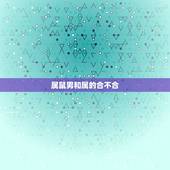 属鼠男和属的合不合，女属鼠，男属鸡，合不合啊？