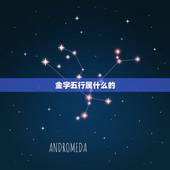 金字五行属什么的，金木水火土的金字，有什么