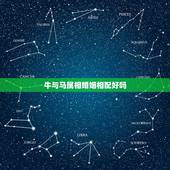 牛与马属相婚姻相配好吗，生肖配对查询牛和马能不能相配？