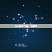 小天真香代表什么意思，烧香烧到“小天真”是什么意思啊