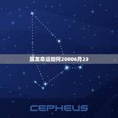 属龙命运如何20006月23，2000年6月23日现在多大了