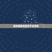 属虎跟属龙的合不合得来，龙和虎的属相合不合