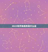 2023年开始走的是什么运，1928年在瑞士奥运会上什么首次成为