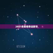 2021各属相幸运数字，1980年出生的属猴人的幸运数字是多少