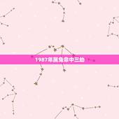 1987年属兔命中三劫 2022属兔的重大贵人