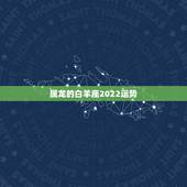 属龙的白羊座2022运势，属龙白羊座2010运势