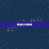 属兔的大忌属相，属兔的结婚当天防属相