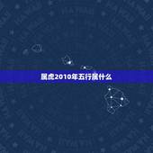 属虎2010年五行属什么，2010年生人五行属什么命