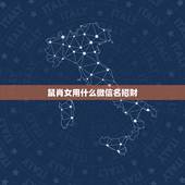 鼠肖女用什么微信名招财，84年生肖鼠本命年取什么微信名比较吉祥？