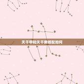 天干甲和天干癸婚配如何，合婚：天干地支很合属相冲要紧吗