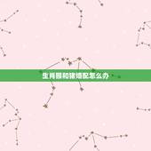 生肖猴和猪婚配怎么办，猪与猴属相合不合