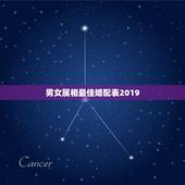 男女属相最佳婚配表2019，生日配对：十二生肖如何婚配最好命