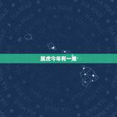 属虎今年有一难，今年属虎的是不是运气不好啊