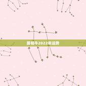 属相牛2022年运势，兔属相2022年运势