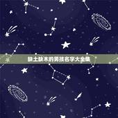 缺土缺木的男孩名字大全集 命里缺土男孩子有什么字