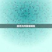 属鸡与何属相婚配，属相婚配表:属鸡的和什么属相最相配