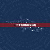 十二生肖属相属鼠运势，十二生肖每月运势详解