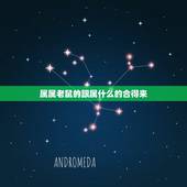 属属老鼠的跟属什么的合得来，属鼠的和什么属相最配？