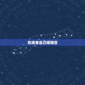 在线查自己婚姻宫，个人婚姻状况查询系统怎么查