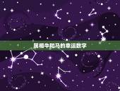 属相牛和马的幸运数字，属马的幸运数字是多少
