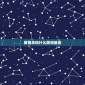 属相羊和什么属相最佳，什么属相和属羊的最配