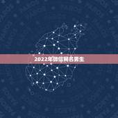 2022年微信网名男生，2021年更流行的微信网名男