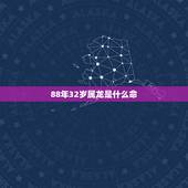 88年32岁属龙是什么命，2022 年属龙女的婚姻