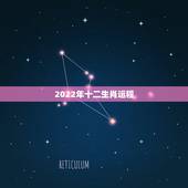 2022年十二生肖运程，2022 年十二生肖运程表