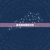 属龙属相婚配好吗，属相婚配：男属兔和女属龙相配吗？