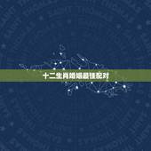 十二生肖婚姻最佳配对，十二生肖姻缘配对？