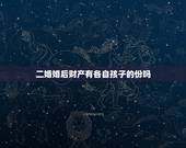 二婚婚后财产有各自孩子的份吗，夫妻二婚各有子女，均已成年。如一方死亡其